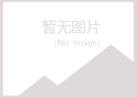 永登县山柏服务有限公司